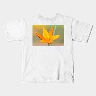 Crocus  &#39;Orange Monarch&#39; Kids T-Shirt